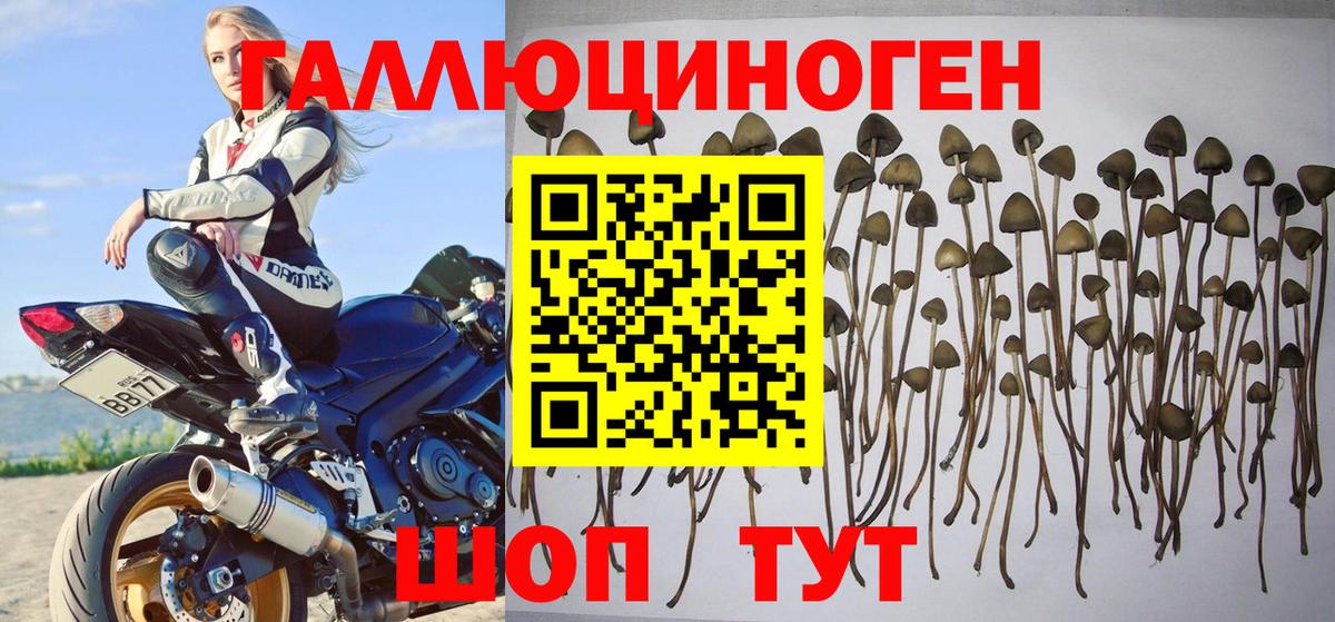 Псилоцибиновые грибы MAGIC MUSHROOMS  Вход с VPN  Нововоронеж 