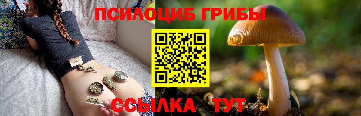 Галлюциногенные грибы Cubensis Нововоронеж